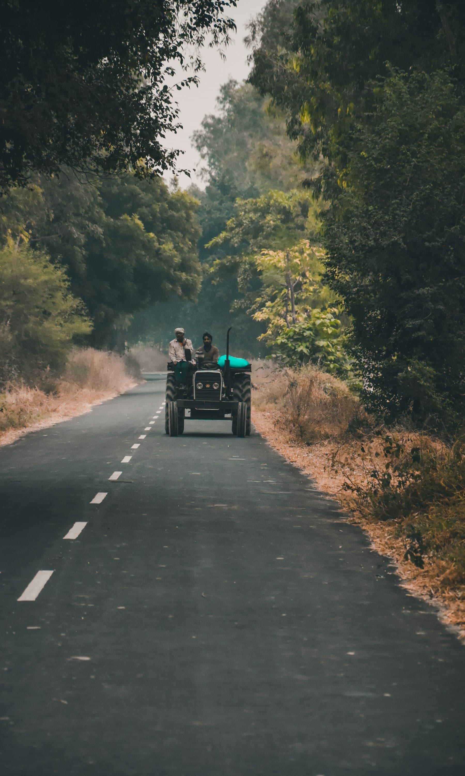 A tractor on a quiet tree-lined village road